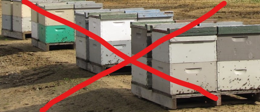 EU er godt på vej til at tage livet af Europas truede vilde bier