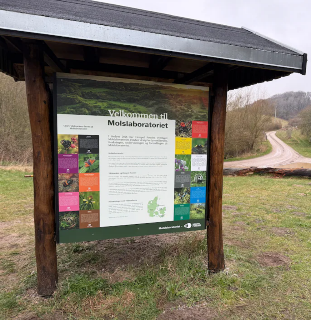 Det er private, som kommer til at skulle redde dansk biodiversitet