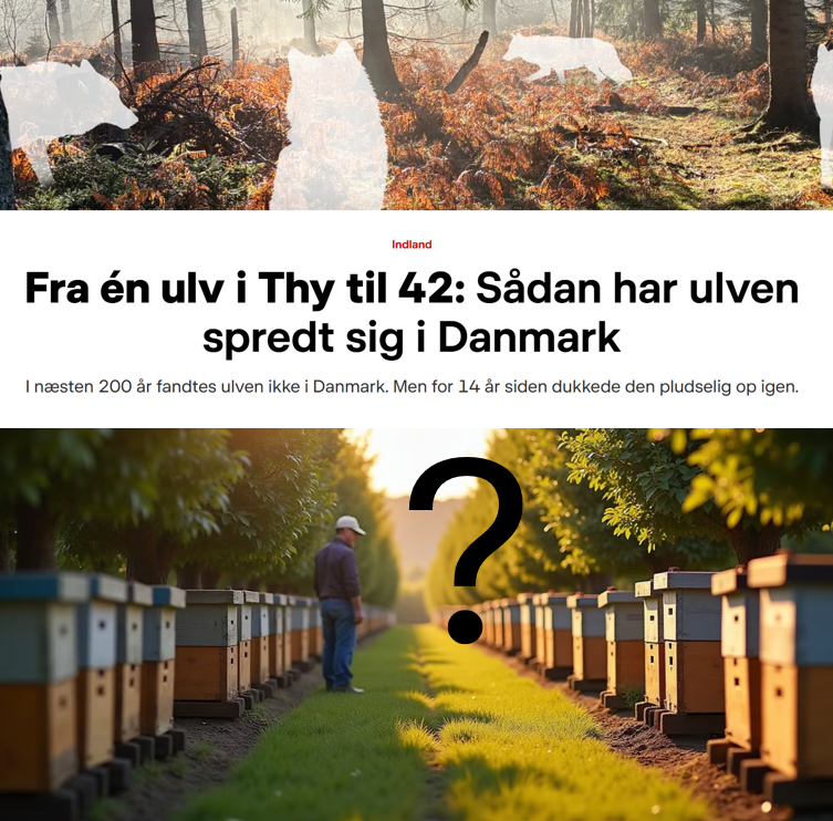 Styr på ulv. Ingen styr på antal bistader